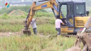 溪黄草种植(礼运乐平·振兴三水｜乐平镇200亩中草药种植基地即将面世)