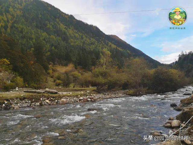 夏季草莓，为高山农业带来新契机