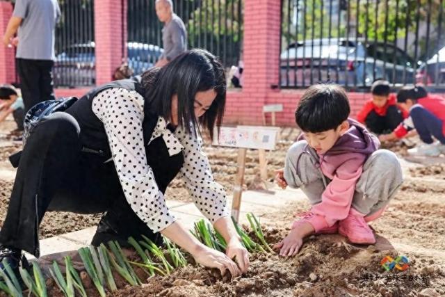 校园里开辟出“三分地”，80组认领家庭体验种植快乐