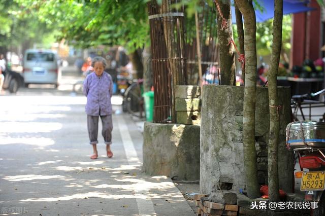 黄花梨木家具能卖出天价，为什么农民不种植黄花梨呢？三点原因