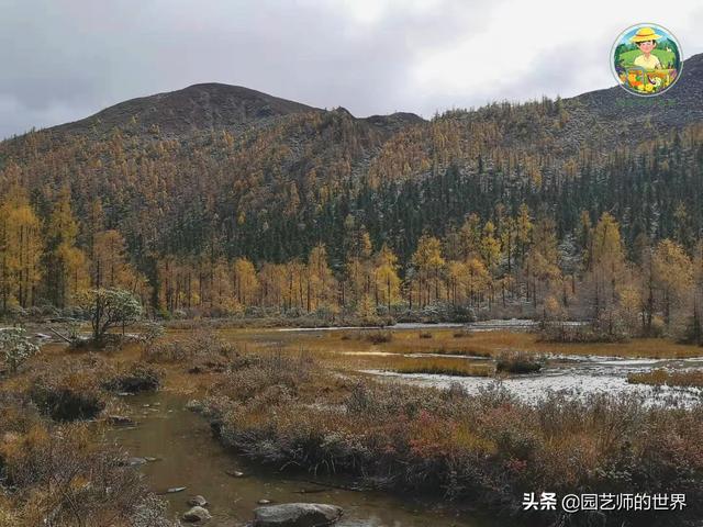 夏季草莓，为高山农业带来新契机