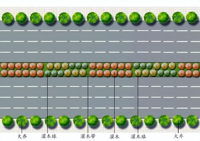 城市行道树的种植、固定、修剪、质量规范和监督标准