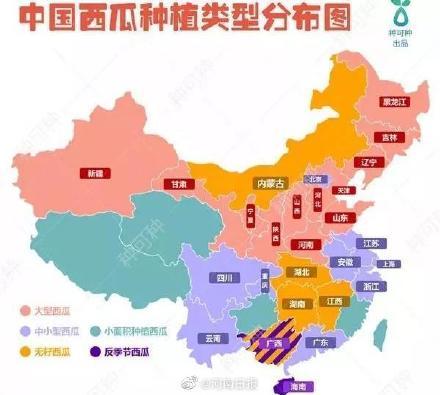 你知道吗？河南是中国西瓜第一大产区