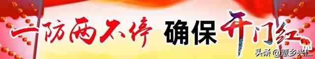 兴仁市下山镇大石村：引导群众发展“毛豆”产业 助力群众持续稳定增收