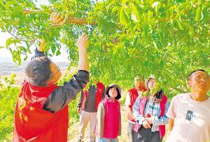 助力乡村振兴！禄劝青年走进“田学校”，上好兴农“实践课”