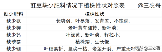 种植技术｜大幅提高豇豆产量的4个技术要点