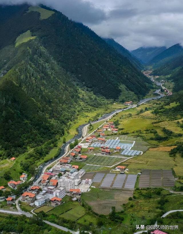 夏季草莓，为高山农业带来新契机