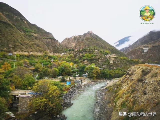 夏季草莓，为高山农业带来新契机