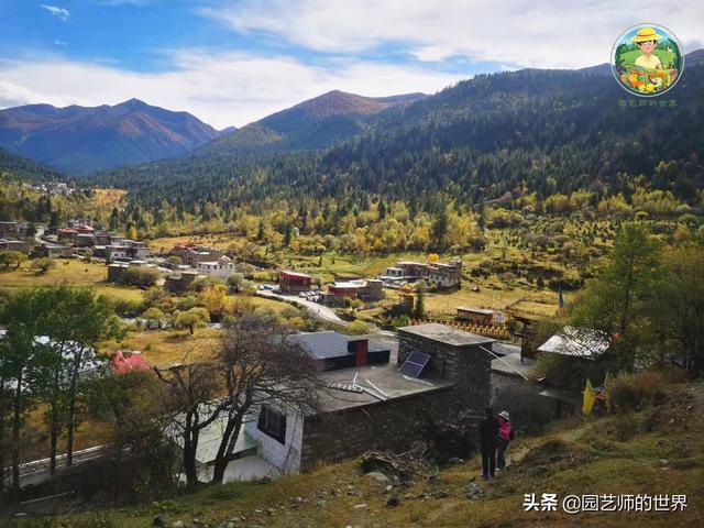 夏季草莓，为高山农业带来新契机