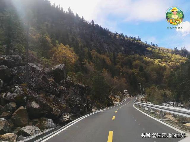 夏季草莓，为高山农业带来新契机