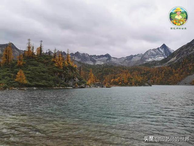 夏季草莓，为高山农业带来新契机