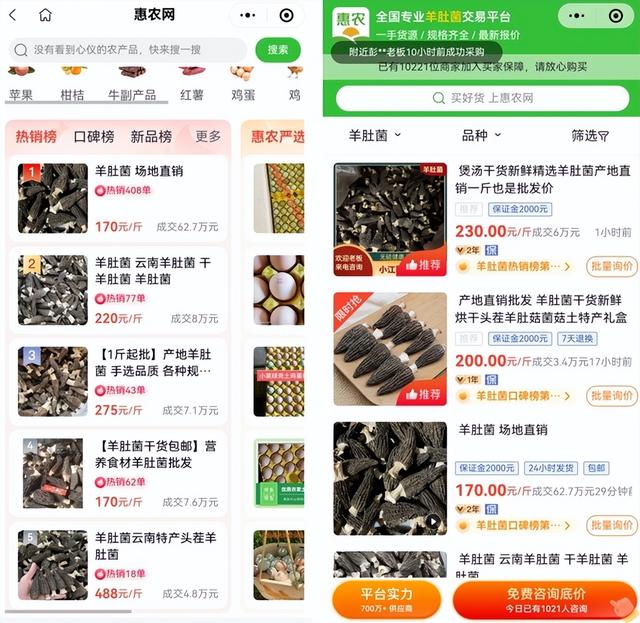 这两种作物是致富的“软黄金”，亩收益最高可达5万元！