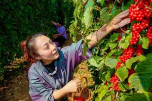 沈阳地区可种植的草药(3000万打造中药养生文化产业园——沈阳辽中新增一处旅游打卡地)