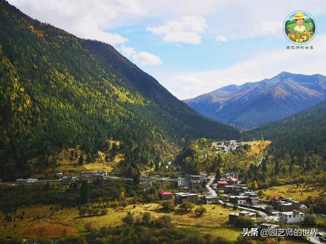 夏季草莓，为高山农业带来新契机