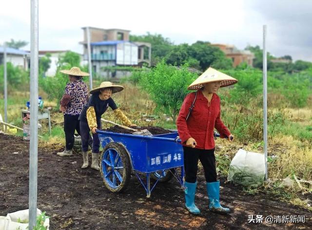 山塘这个基地香瓜成熟啦！离清新城区车程20分钟都不用