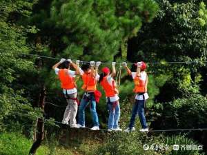 那里可以参观野菜种植(森林寻宝、徒步洗肺、网红民宿……五一假期，济南跑马岭等你嗨)