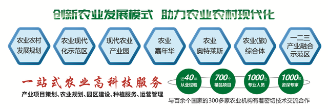 荷兰高度发达的现代设施农业，如何助力西红柿产业大飞跃？