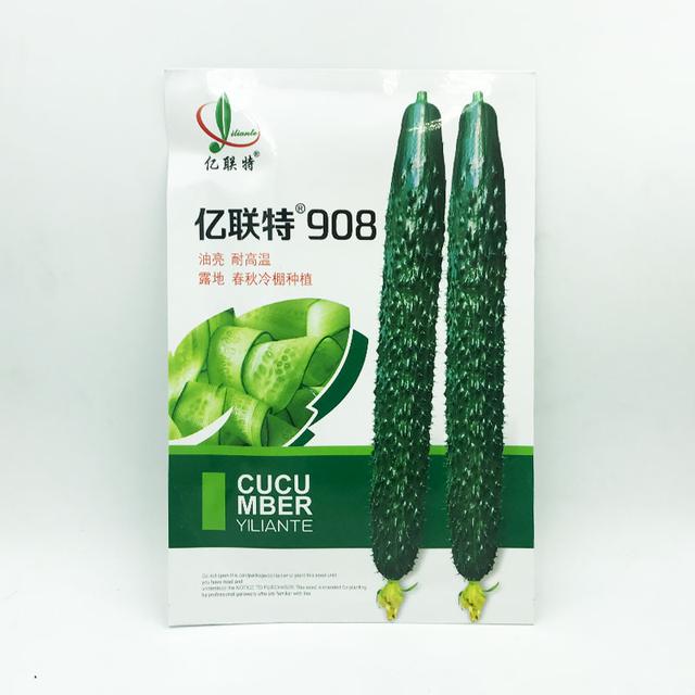 耐高温的油亮黄瓜好品种！高品质，高产量，适合大型黄瓜基地种植