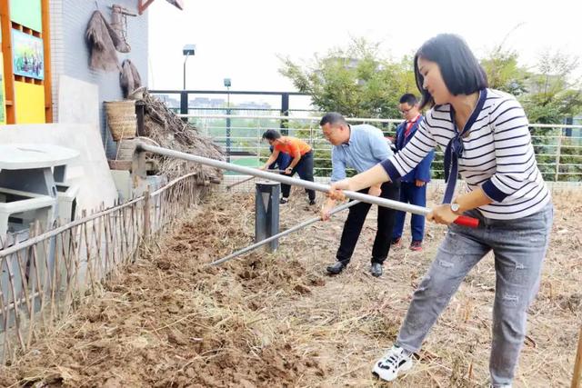 遂宁市洋渡实验学校生态劳动项目式课程：菜花地里的学问