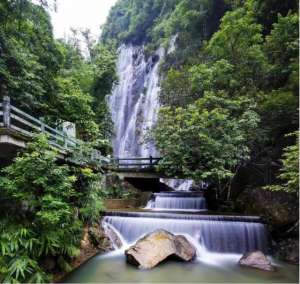 广东肇庆葡萄种植场(四会威整镇：农旅名镇如何再探新？)