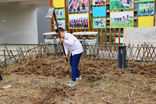 遂宁市洋渡实验学校生态劳动项目式课程：菜花地里的学问