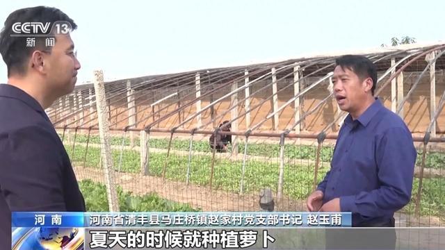 食用菌鼓起农民“钱袋子”，产业发展也有了新“蘑”力