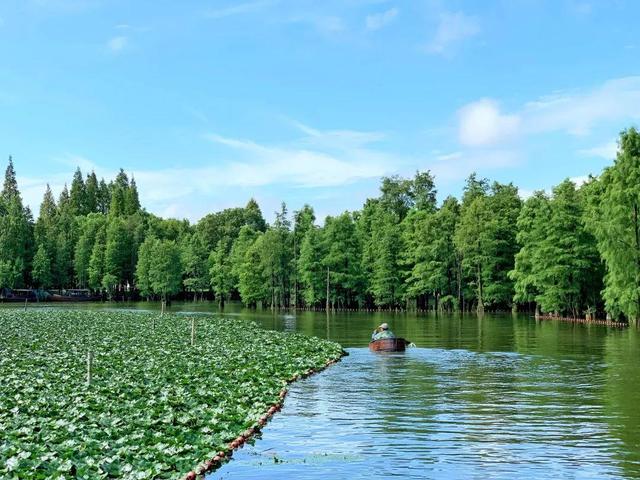 水八仙，常熟秋天的鲜灵都在这里