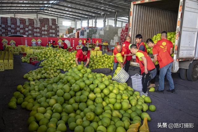 广东一座地级市，竟是国际认可的“世界长寿之都”，尤其盛产柚子