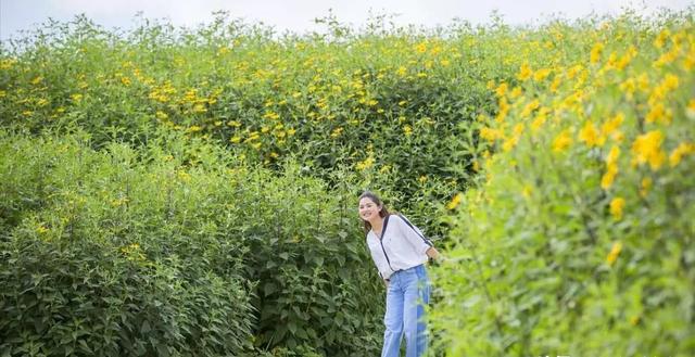 中国大规模种植，国外束手无策，每年耗资50亿难以解决？