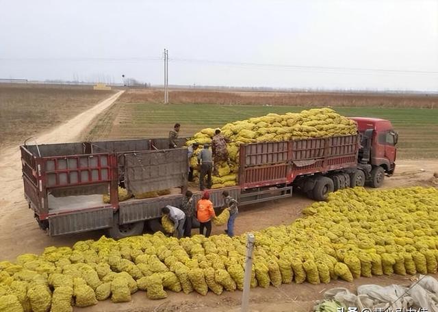 中国大规模种植，国外束手无策，每年耗资50亿难以解决？