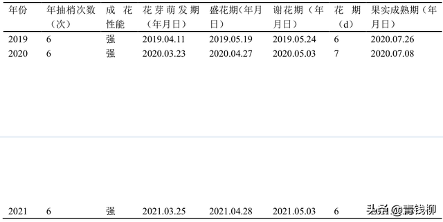 “台农3号”莲雾在南宁的引种表现及主要栽培技术