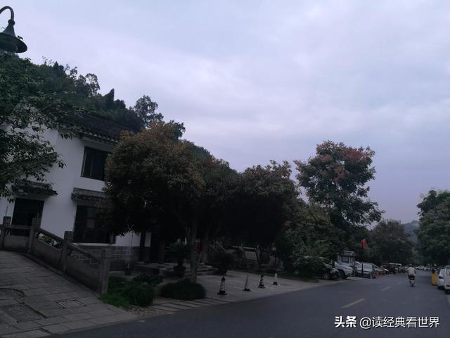 哦，这香飘四季的桂花