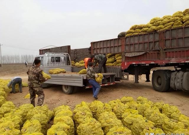 中国大规模种植，国外束手无策，每年耗资50亿难以解决？