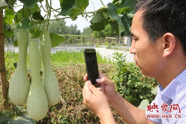 河南宝丰：葫芦种植深加工 打造福禄文化经济