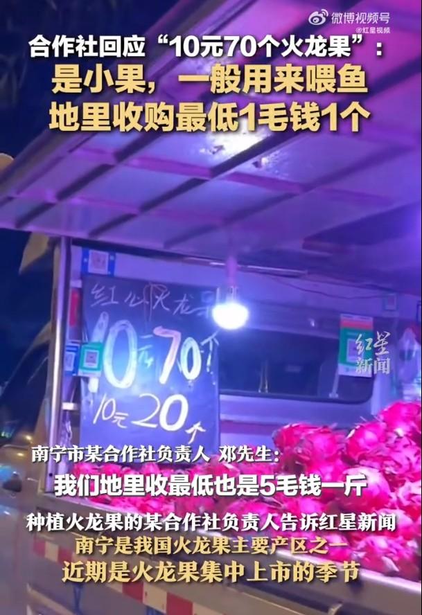 广西街头10元能买70个火龙果 为什么当地火龙果那么实惠？