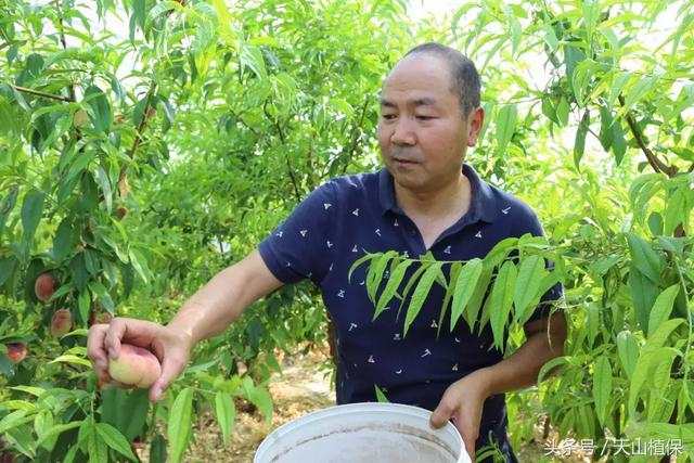 粪污变宝，沼液还田，节本增效——一条绿色农业之路