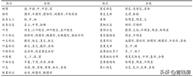 广东省澳洲坚果种业的发展趋势与前景分析