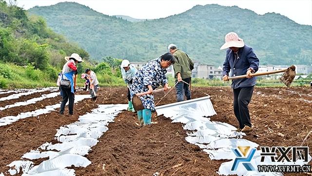 抢抓秋冬种 播种新希望