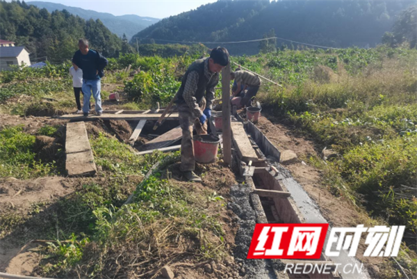 慈利县高峰土家族乡康家坪村：用好党建笔 绘出新图景