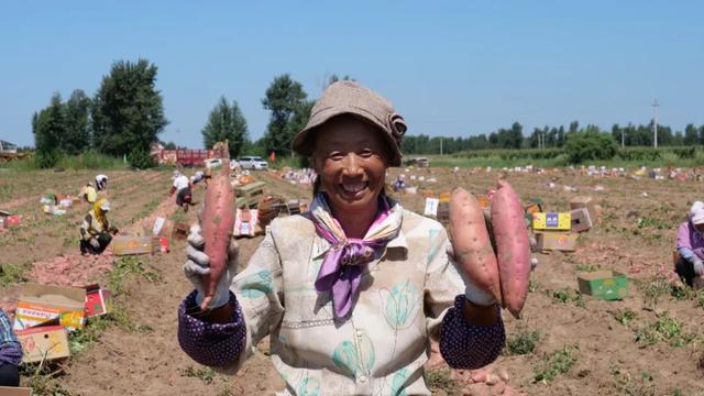 奈曼旗：固日班花苏木新星嘎查丨小村子的致富探索