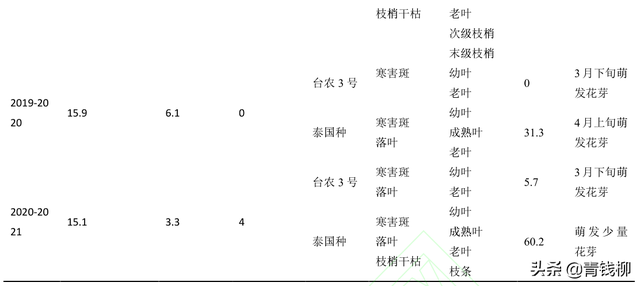 “台农3号”莲雾在南宁的引种表现及主要栽培技术