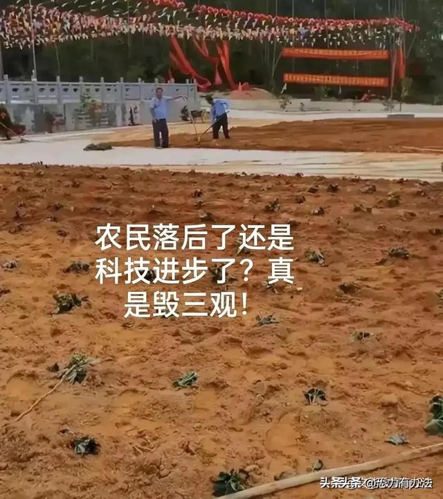 水泥板上复耕，水泥路上种庄稼，18亿亩耕地一厘也不会少