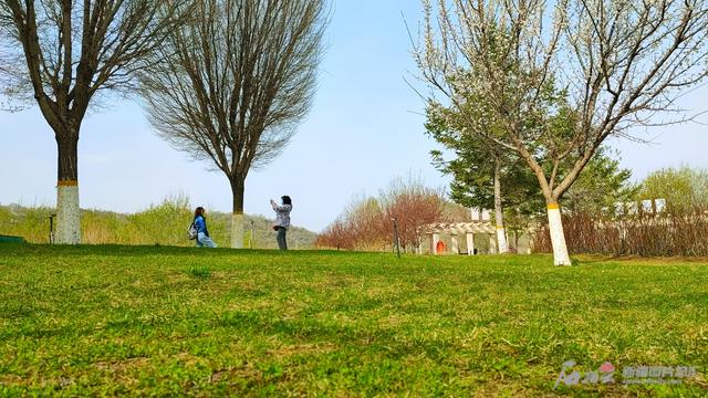 乌鲁木齐市雅山公园：草绿花红春色美