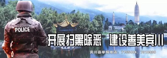 「今日宾川」标准化种植成效显 宾川葡萄效益好