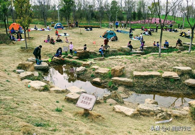 郑州市区5大免费赏花地，公交地铁直达，清明出游正当时