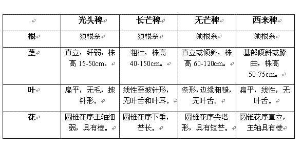 最全的稗草种类图谱