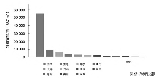 广东省澳洲坚果种业的发展趋势与前景分析