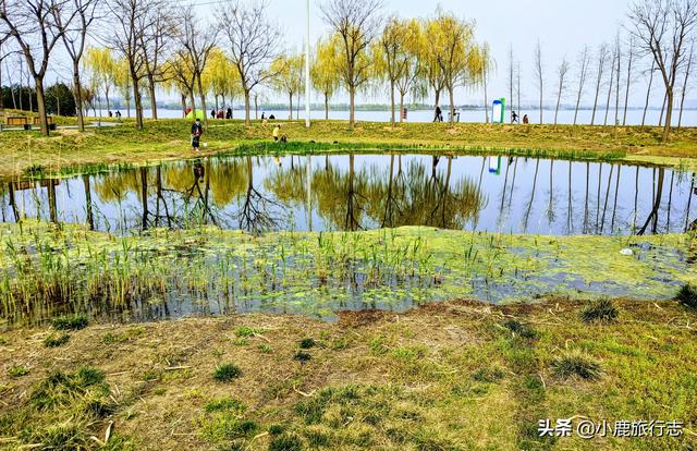 郑州市区5大免费赏花地，公交地铁直达，清明出游正当时