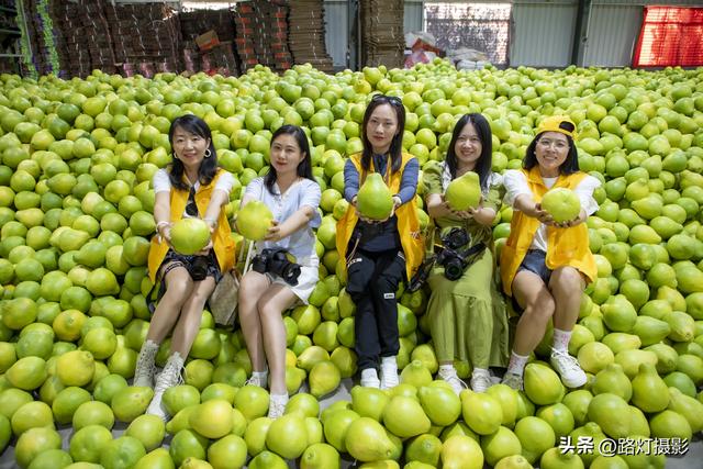 广东一座地级市，竟是国际认可的“世界长寿之都”，尤其盛产柚子