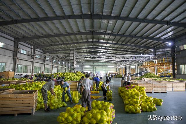 广东一座地级市，竟是国际认可的“世界长寿之都”，尤其盛产柚子